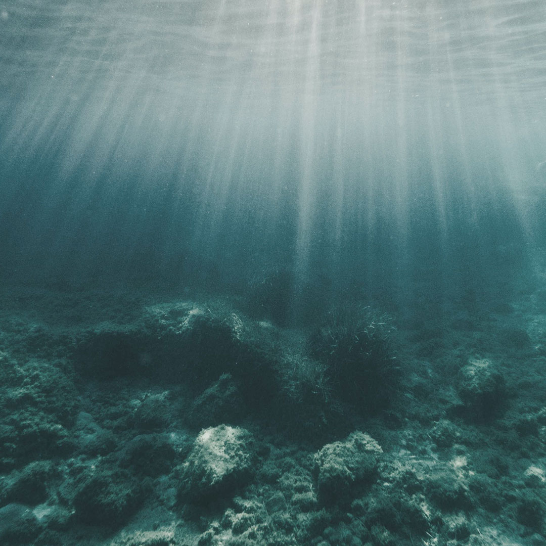 sw-issue-34-square-10