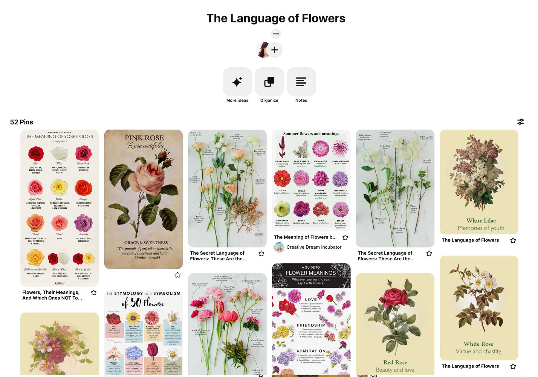 sw-38-pinterest-2