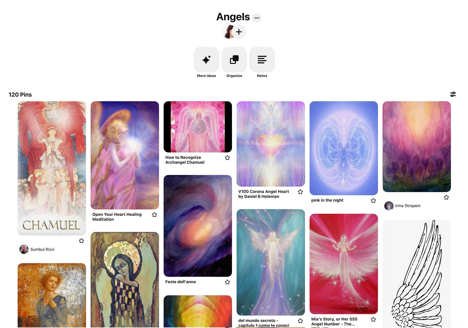 sw-38-pinterest-3